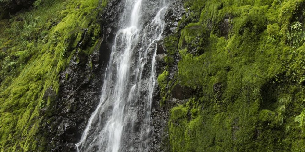 What’s your next website gonna be?